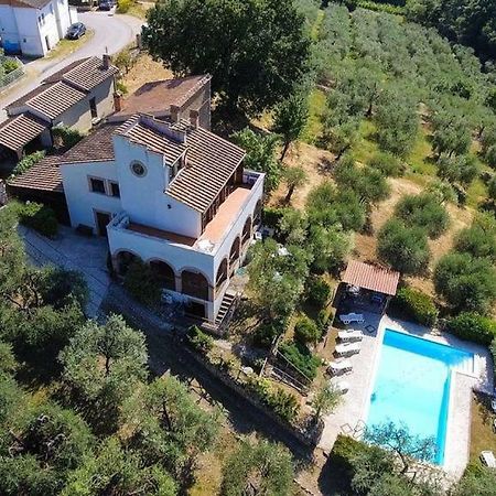 Collicello Il Poggio Degli Ulivi 아파트 외부 사진