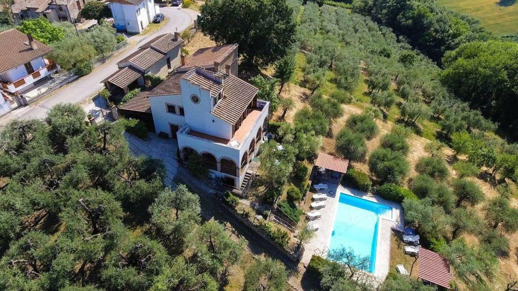Collicello Il Poggio Degli Ulivi 아파트 외부 사진