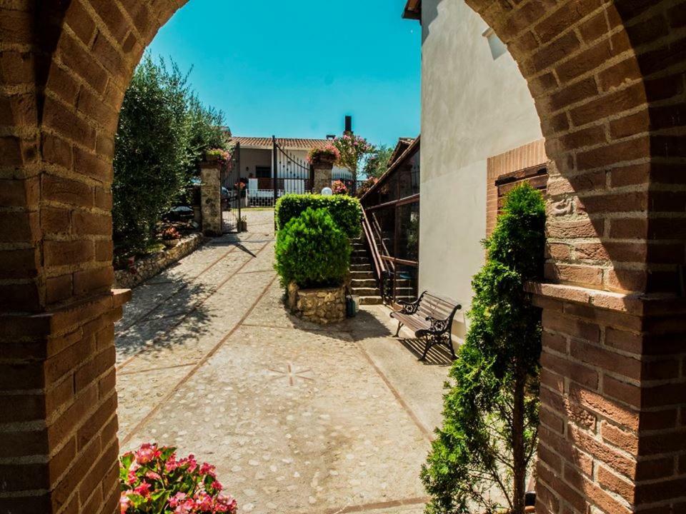 Collicello Il Poggio Degli Ulivi 아파트 외부 사진